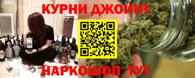 крисы Шелехов