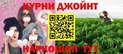 крисы Шелехов
