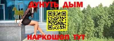 стаф Шахты