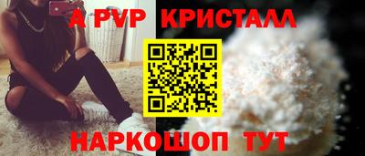 крисы Шелехов