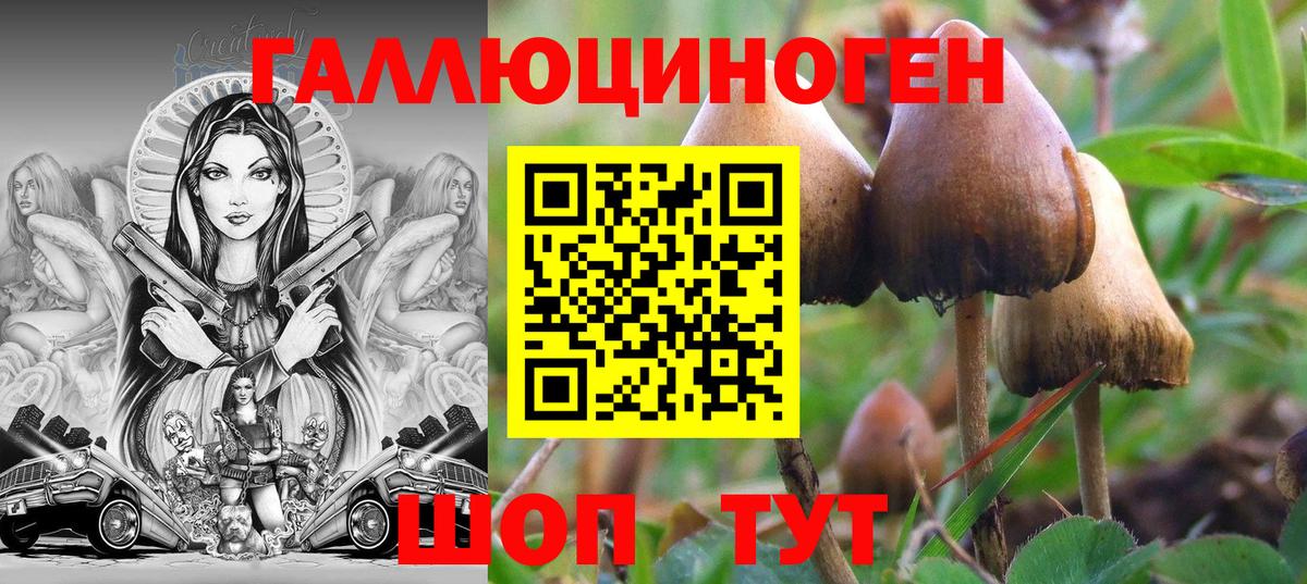 Галлюциногенные грибы GOLDEN TEACHER  Вход с VPN  цены наркотик  Артёмовский 