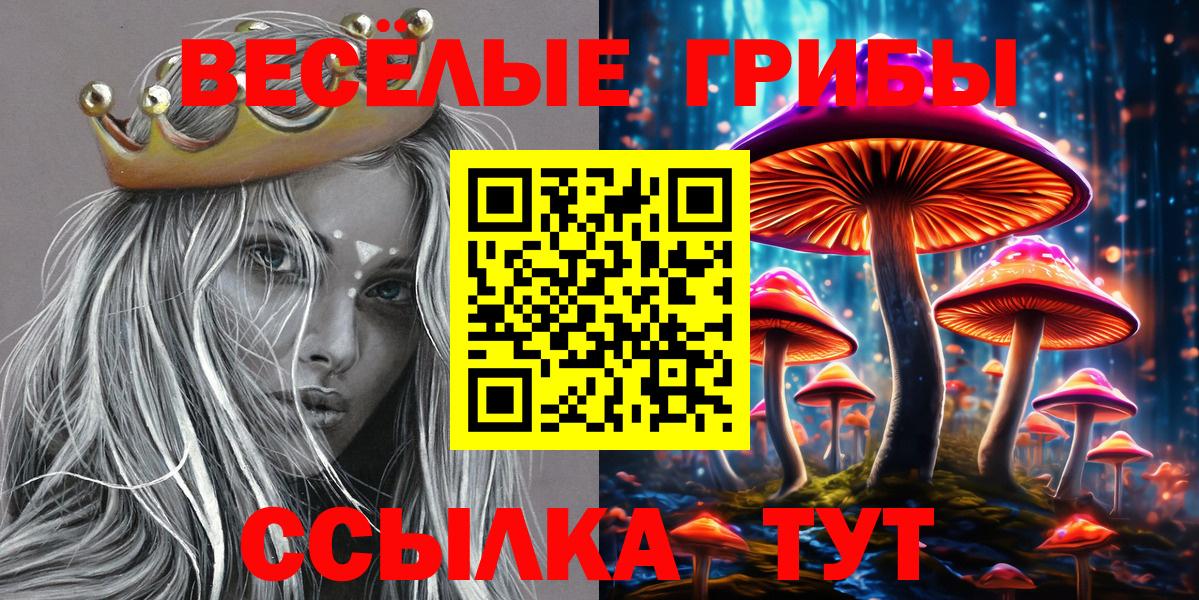 Псилоцибиновые грибы Cubensis Артёмовский